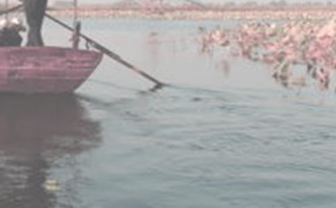 科海泛舟作文【精選】