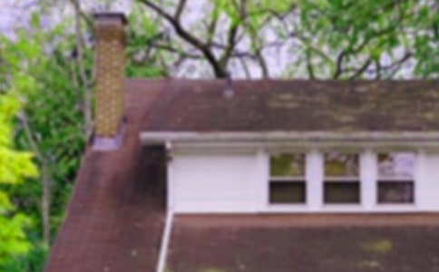 大班美術(shù)活動教案《新房子周圍》(通用11篇)