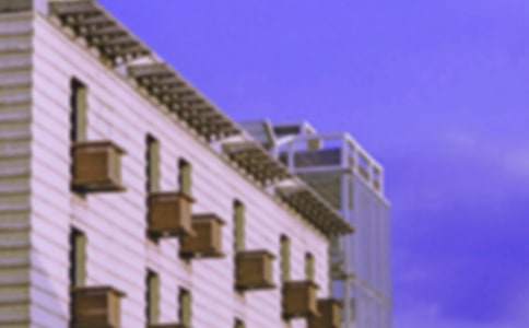 擔(dān)當(dāng),搭起成長的房子初三作文