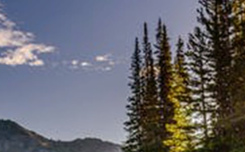 ���е��L������(�ϼ�15ƪ)