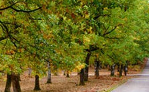 熊河風(fēng)景區(qū)