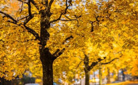 �F�`ɽ�L(f��ng)���^(q��)��(d��o)���~