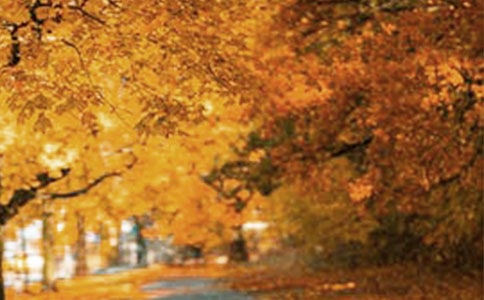 遠(yuǎn)去的風(fēng)景抒情散文