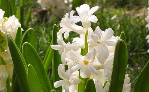 ����L(f��ng)��������