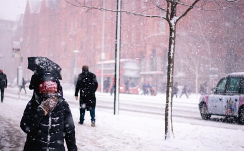 迎戰(zhàn)暴風(fēng)雪作文450字