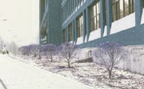 �����ڱ��L(f��ng)ѩ�еĐ�_3000��