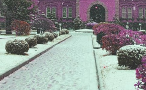 �L(f��ng)ѩ�е���������