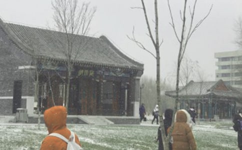 風(fēng)雪小丫頭