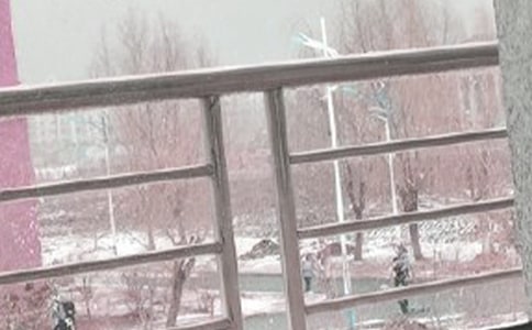 關(guān)于風(fēng)雪中的隨筆散文