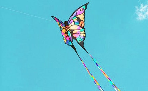 ����w���̰������L(f��ng)�~