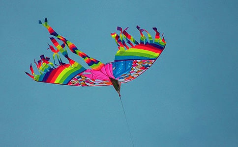 風(fēng)箏與線作文【大全15篇】