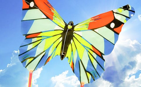 (實(shí)用)放風(fēng)箏的日記6篇