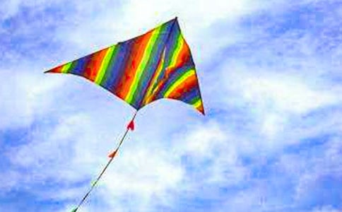 關(guān)于放風(fēng)箏的作文(通用15篇)