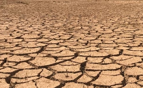 基于生態(tài)功能考慮的西北干旱地區(qū)生態(tài)需水研究