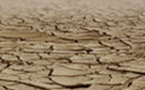 �S�����θɺ���׃�����^(q��)�g��������