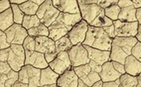 世界防止荒漠化和干旱日主題活動