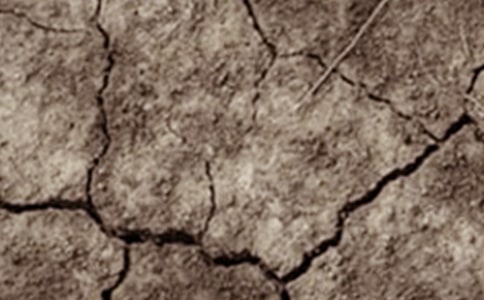 干旱區(qū)人與自然和諧發(fā)展的農(nóng)業(yè)生態(tài)環(huán)境調(diào)控策略集成