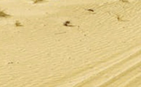 �����в��ɺ����ɺ������u�������о�