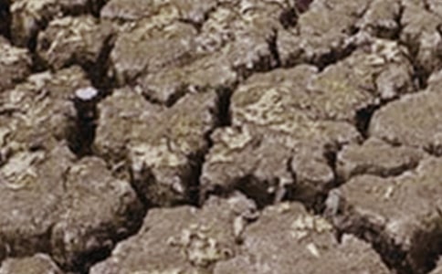 新疆天山北坡干旱區(qū)GDP時空模擬