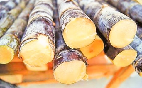 精華甘蔗的作文