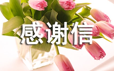 寫給人類的感謝信900字作文