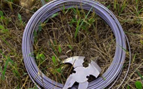 走“鋼絲”作文