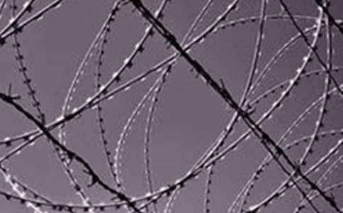 閱讀鋼鐵是怎樣煉成心得體會