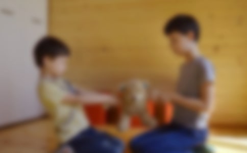 關(guān)于我的哥哥寫(xiě)人作文300字集錦五篇