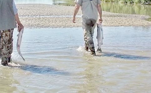 【精品】我的好哥們作文8篇