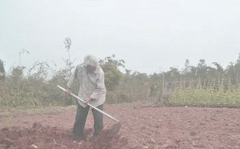 ϲ����Ĺ���-ӛɽ�|ʡ�T���������(zh��n)�r(n��ng)�C����܊