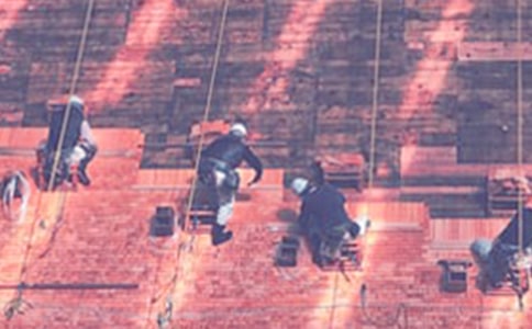 ����������ؑ�(y��ng)���ݾ����Y(ji��)�����x12ƪ��