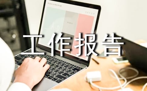 it人員年度工作報告4篇