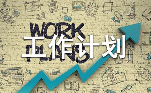 項目經(jīng)理工作計劃(集合14篇)