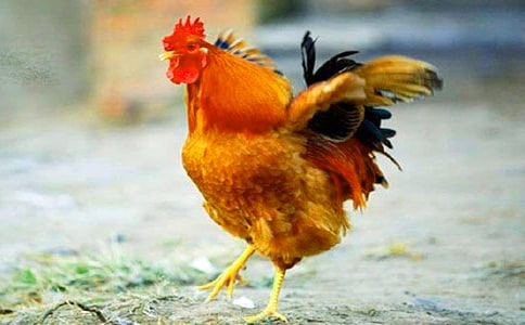 �P(gu��n)�ڹ��u�����Č���15ƪ