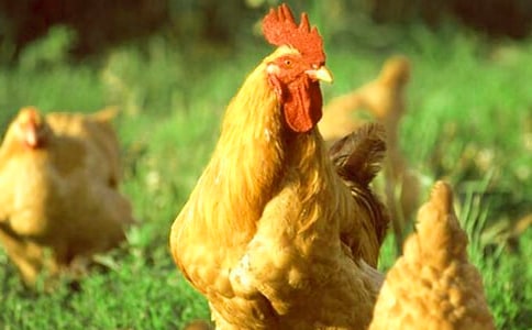 ���u������600��