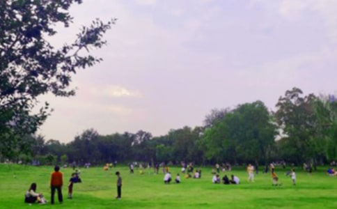 【推薦】公園寫景作文300字集錦八篇