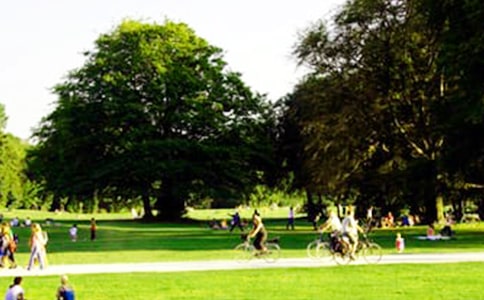 ������ӭ�e���@����