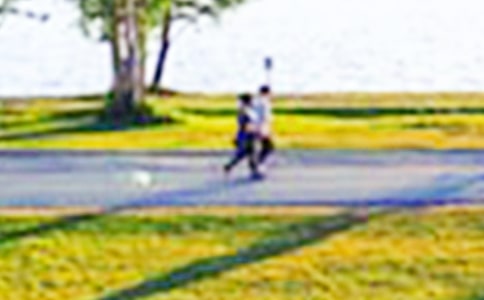 公園雪景優(yōu)秀作文500字