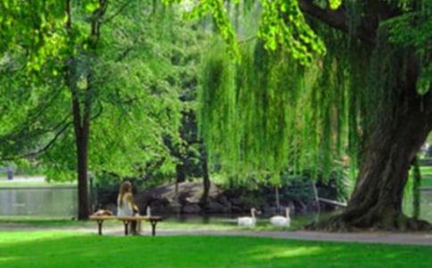 年度大連金石灘濱海國家地質(zhì)公園工作總結(jié)