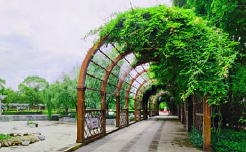 公園的四季作文