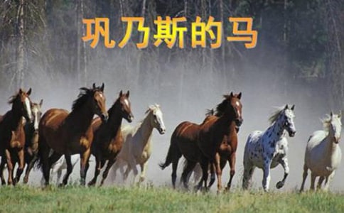 《鞏乃斯的馬》教案設(shè)計