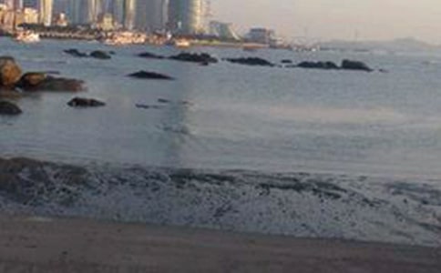 鼓浪嶼作文(精選15篇)