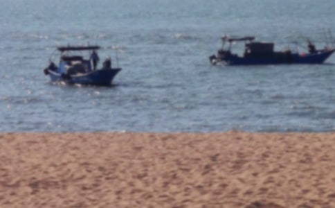 廈門鼓浪嶼的作文匯總六篇