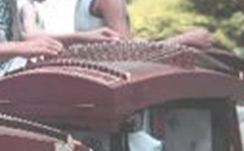 學(xué)習(xí)古箏的苦與樂(lè)六年級(jí)作文