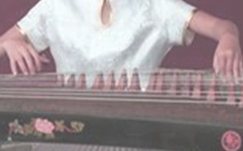 (精選)古箏作文500字9篇