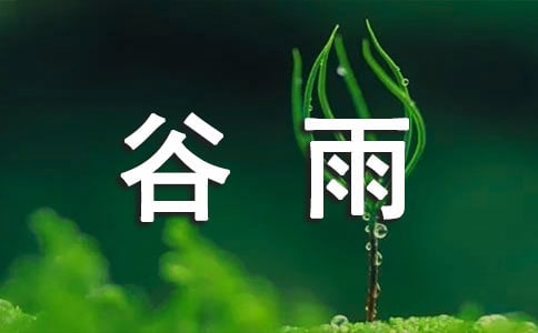 谷雨的寄語(集合9篇)