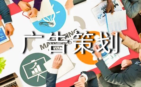 廣告策劃書的撰寫之國(guó)外的代表主張