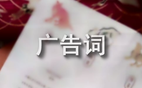 關(guān)于保護動物公益廣告詞