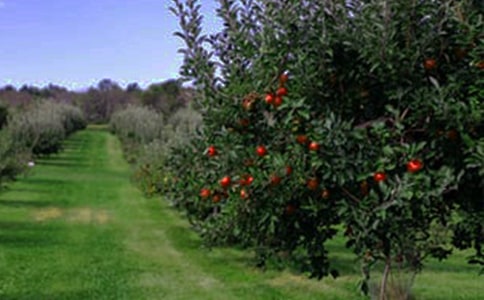 ɽ�ϵĹ��@���ģ�ͨ��34ƪ��