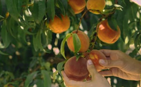 ���@�C��������